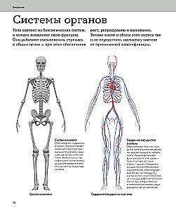 Anatomia człowieka. Wizualny przewodnik po wszystkich systemach organizmu: norma i patologie